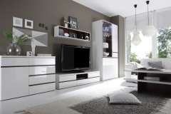 Neve_helvetia