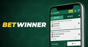 Exploring the BetWinner Platform A Comprehensive Guide to Online Betting