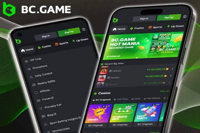 Ultimate BC Game Bonus Guide Maximize Your Gaming Experience Ultimate BC Game Bonus Guide Maximize Your Gaming Experience